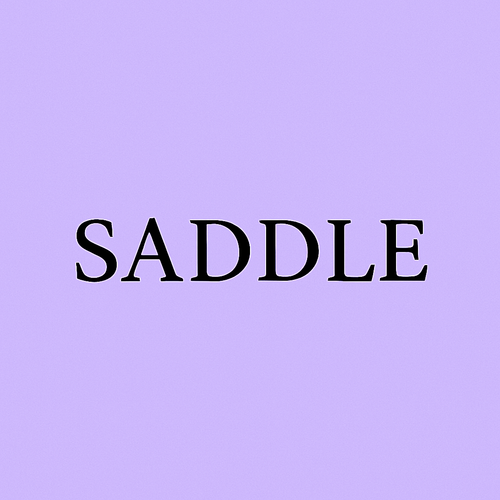 Saddle